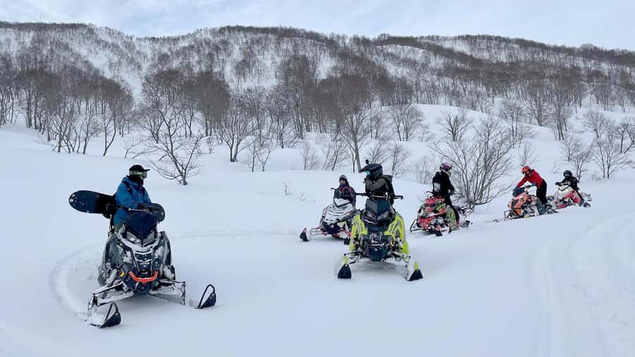 Penguin Fun & Snowmobile : Sapporo Winter (Asahiyama Zoo) - Shikisai-no-oka: scenery, snow, and the optional snowmobile