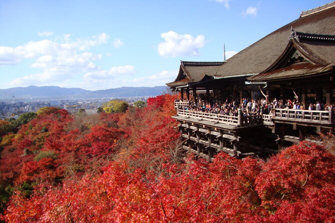 PERFECT KYOTO 1-Day Bus Tour - Kyoto’s biggest sights without the transport puzzle