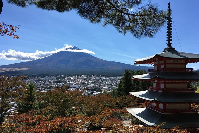 Private Car Tour to Mt. Fuji Lake Kawaguchiko or Hakone - Lake Kawaguchiko’s flowers, food, and open views