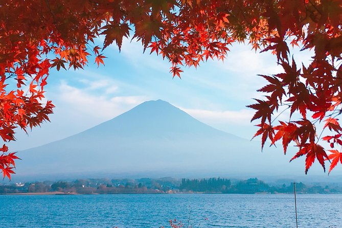 Private Car Tour to Mt. Fuji Lake Kawaguchiko or Hakone - Traditional houses at Saiko Iyashi no Sato Nemba