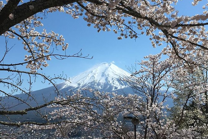 Private Car Tour to Mt. Fuji Lake Kawaguchiko or Hakone - Oshino Hakkai and the Fuji water story
