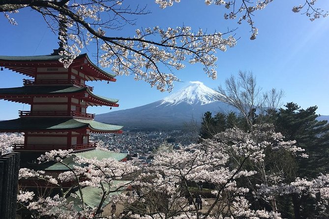 Private Car Tour to Mt. Fuji Lake Kawaguchiko or Hakone - A sake brewery and the taste of Yamanashi
