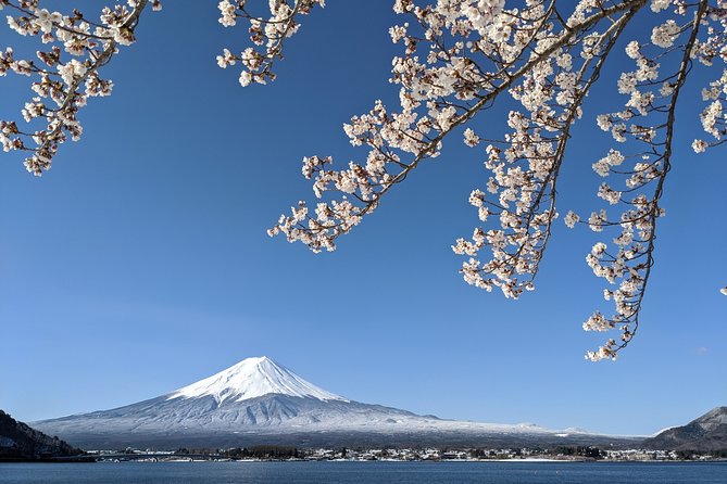Private Car Tour to Mt. Fuji Lake Kawaguchiko or Hakone - Learning about the mountain before chasing views