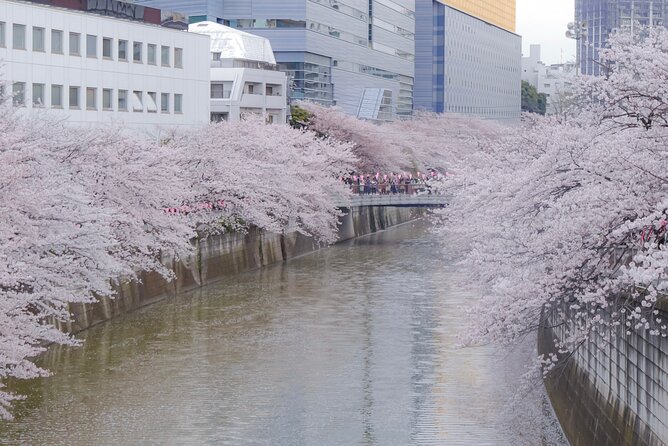 Private Custom Tour: Tokyo in a Day - Yanaka Ginza: A Slower Neighborhood Choice