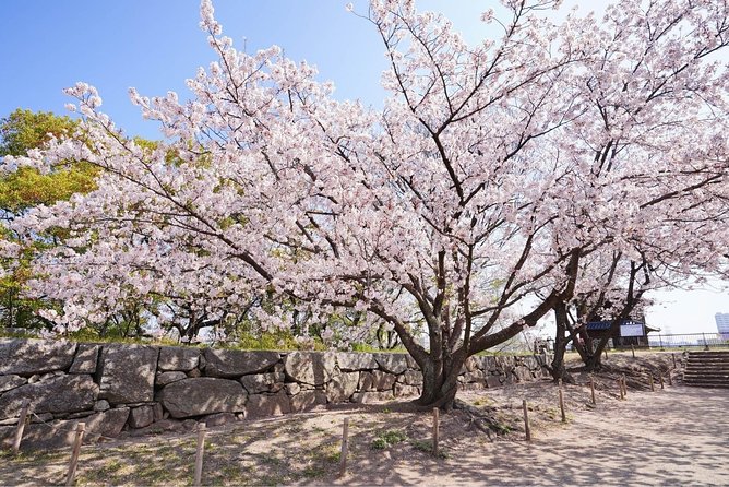 Private Fukuoka Tour with a Local, Highlights & Hidden Gems 100% Personalised - Planning the right length and pace