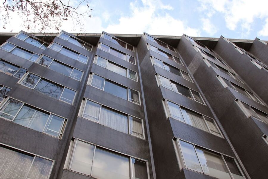 Private Harajuku Omotesando Architecture Tour - Yoyogi Gymnasium and the first major design lesson