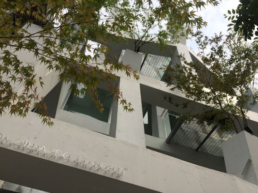Private Harajuku Omotesando Architecture Tour - Omotesando’s famous facades, from Prada to Sunny Hills
