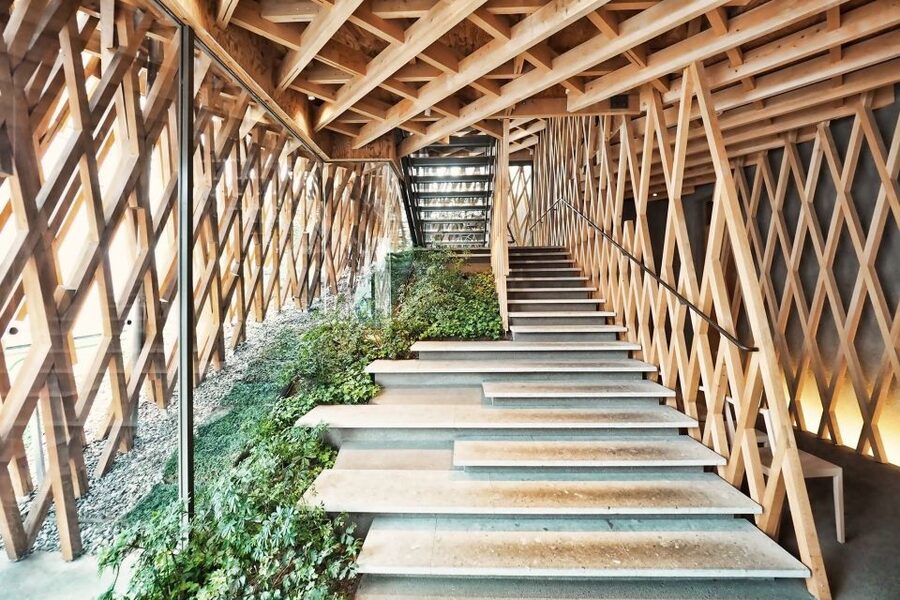 Private Harajuku Omotesando Architecture Tour - A private guide makes the difference