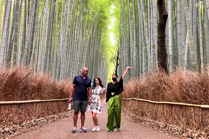 Private Kyoto Tour with Licensed Guide & Vehicle (Max 15 persons) - Price, group size, and what you actually receive
