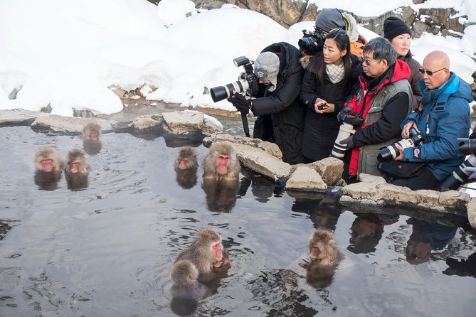 Private Nagano 1-Day Tour:Snow Monkeys,Zenko-ji,Obuse,Sake,Onsen - Private car or public transport?