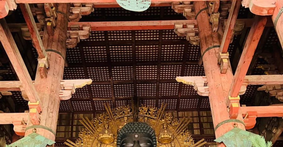Private Nara Tour from Osaka – Meet at Your Hotel - Todai-ji and the Great Buddha