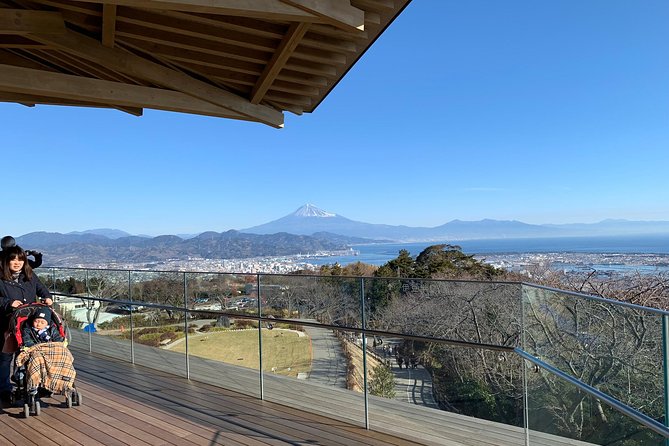 Private sightseeing tour from Shimizu Port / Van Taxi - Why this Shimizu tour works well from a cruise ship