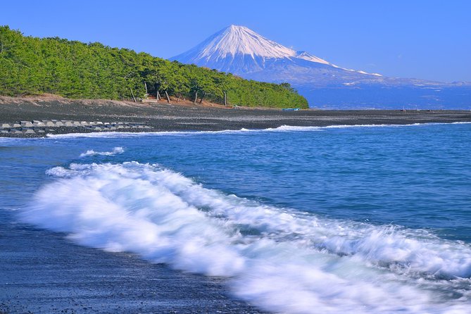 Private sightseeing tour from Shimizu Port / Van Taxi - Nihondaira Observatory and the Mount Fuji gamble