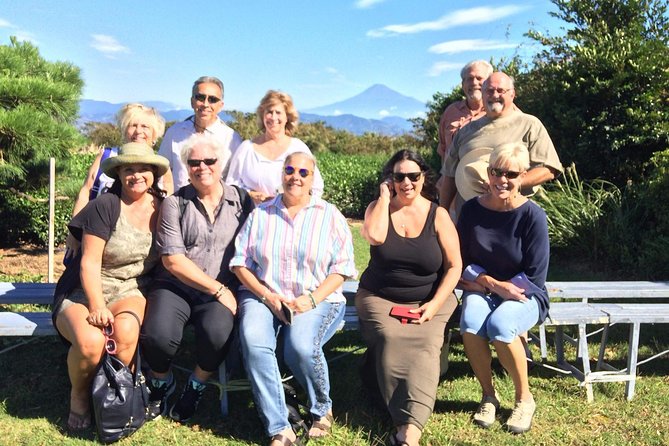 Private sightseeing tour from Shimizu Port / Van Taxi - Tea fields at Nihondaira Ochakaikan