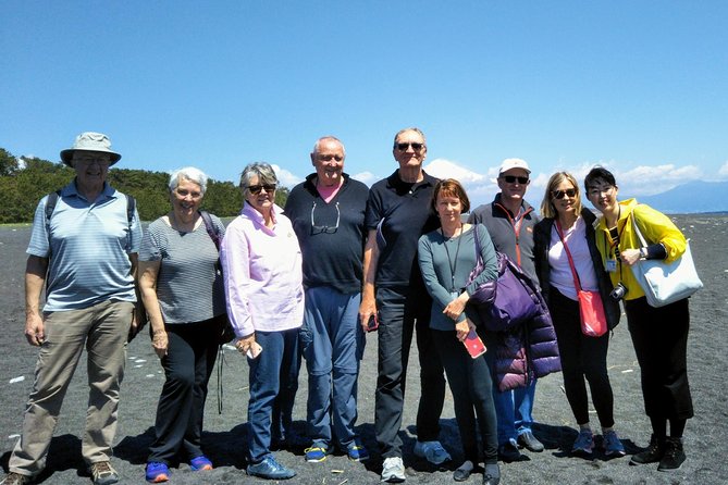 Private sightseeing tour from Shimizu Port / Van Taxi - Miho no Matsubara, pine trees, and black sand