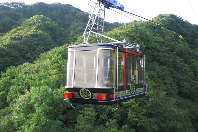Private sightseeing tour from Shimizu Port / Van Taxi - The guides are the tour’s biggest asset