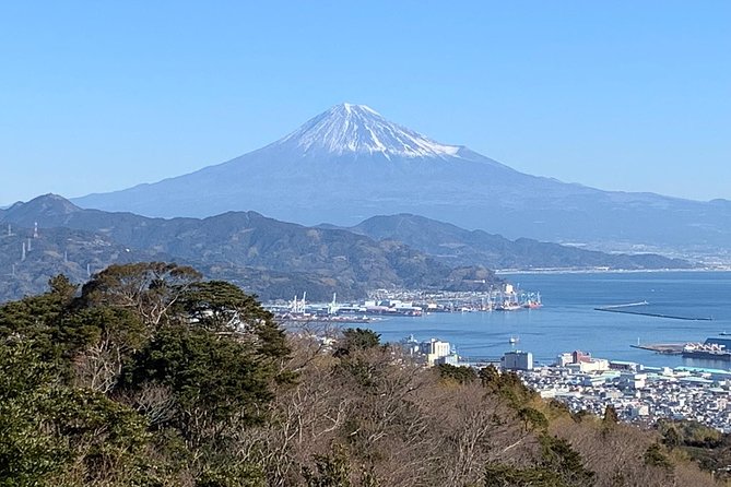 Private sightseeing tour from Shimizu Port / Van Taxi - Nihondaira Ropeway and the first view of Suruga Bay