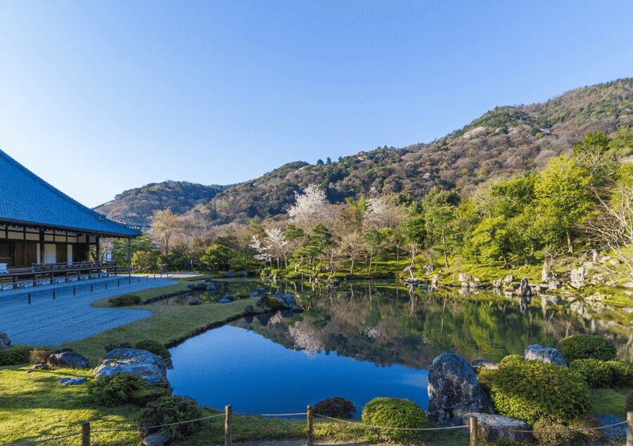 Private Tour to Monkey Park and Arashiyama Highlights - How the Three-Hour Schedule Works