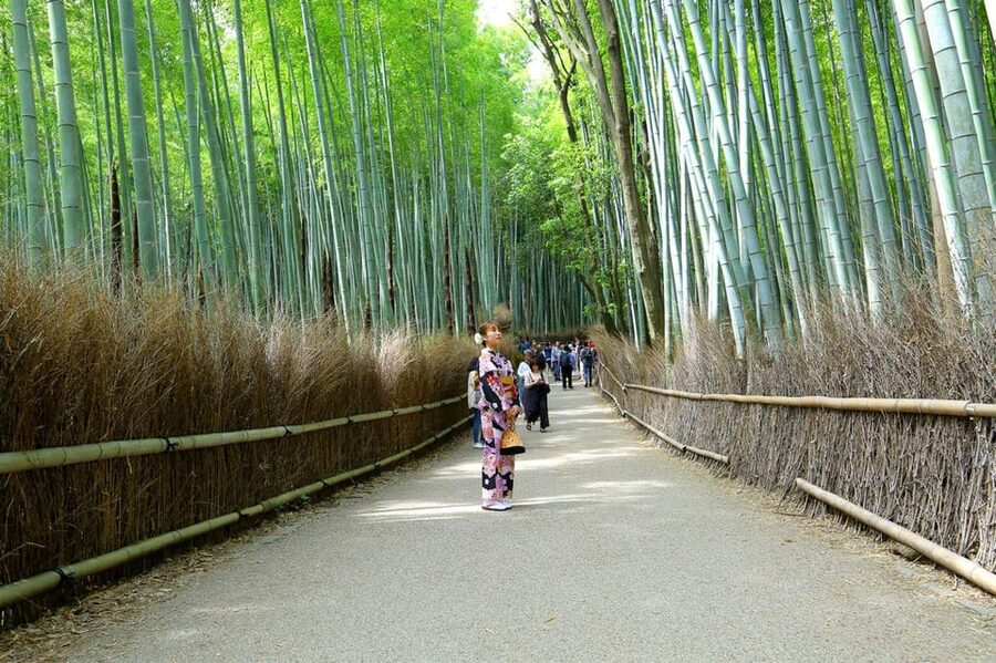Private Tour to Monkey Park and Arashiyama Highlights - Small Details That Make the Day Easier