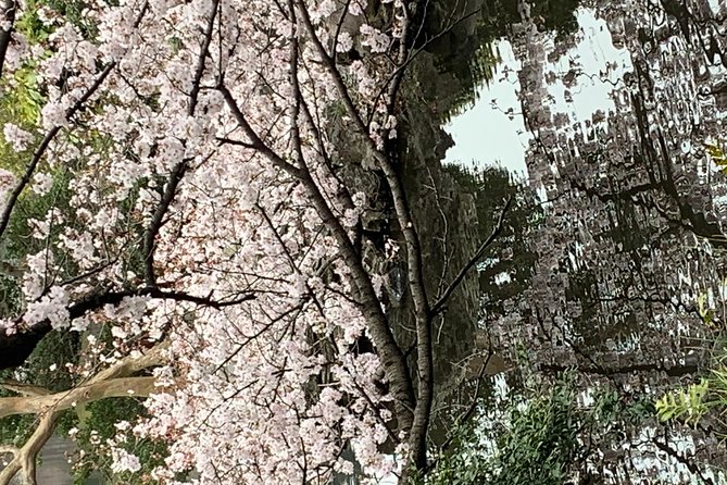 Private Tour to Mt. Fuji and Hakone (Fully Licenced Operator) - Oshino Hakkai and Fuji spring water