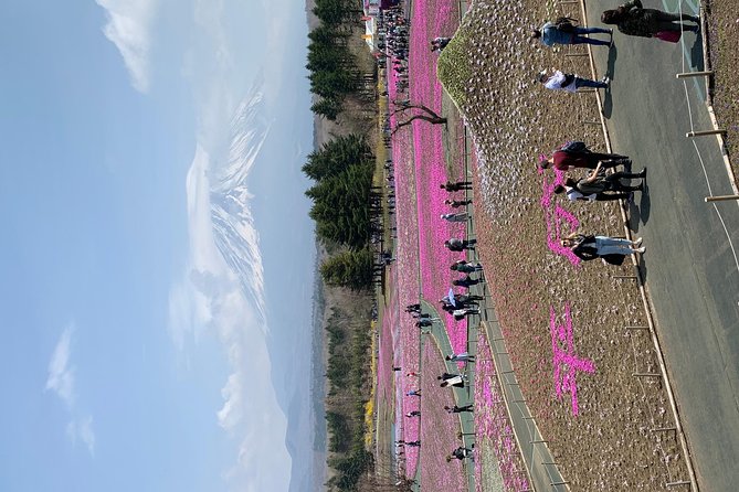 Private Tour to Mt. Fuji and Hakone (Fully Licenced Operator) - Shrines with a quieter sense of place