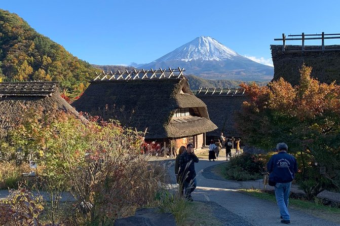 Private Tour to Mt. Fuji and Hakone (Fully Licenced Operator) - Mt. Fuji 5th Station: close, high, and not guaranteed