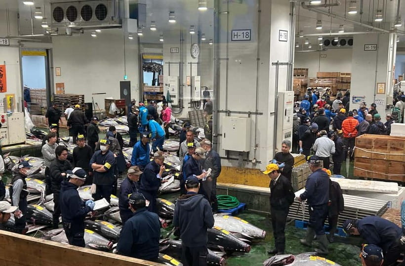 Private Toyosu & Tsukiji Market Adventure with Tuna Auction - Key points at a glance