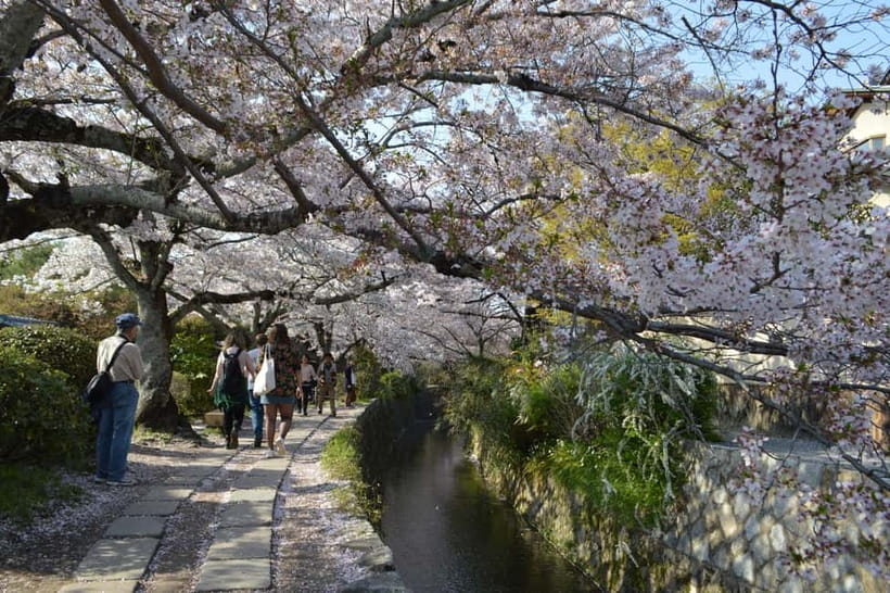 Sacred Pathways: Discover the Philosopher's Path of Kyoto - Along the canal on the Philosopher’s Path
