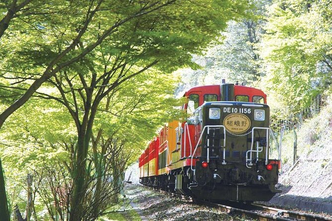 Sagano Romantic Train & Arashiyama, Kiyomizudera, Fushimi Inari Taisha Day Tour - The Sagano Romantic Train beside the Hozugawa River