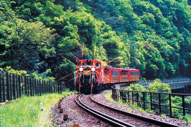Sagano Romantic Train & Arashiyama, Kiyomizudera, Fushimi Inari Taisha Day Tour - Who should book this tour
