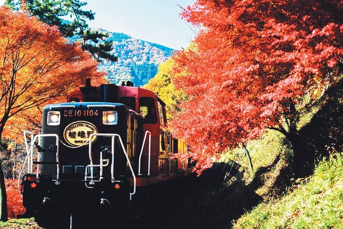 Sagano Romantic Train & Arashiyama, Kiyomizudera, Fushimi Inari Taisha Day Tour - Fushimi Inari and its endless red gates
