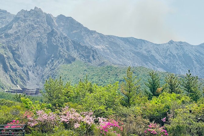 Sakurajima Century Lava Climb Journey with E-bike - Starting at Sakurajima Visitor Center