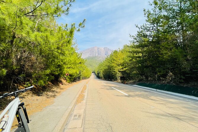 Sakurajima Century Lava Climb Journey with E-bike - Booking details that matter