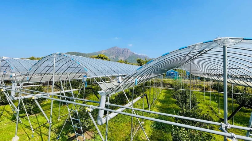 Sakurajima Century Lava Climb Journey with E-bike - What the three-hour schedule really gives you