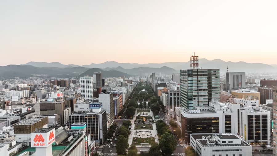 Sapporo: Custom Highlights and Hidden Gems Tour with a Local - Seafood, miso ramen, and Ramen Alley