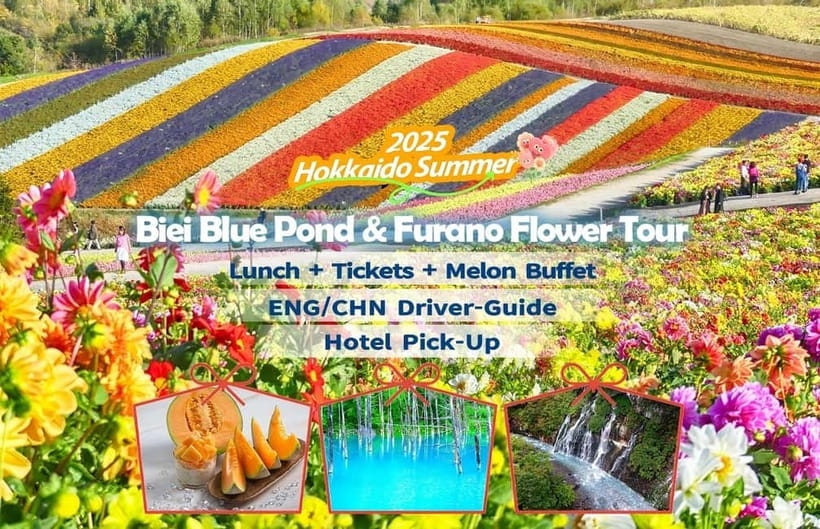Sapporo: Furano Flower Sea & Biei Blue Pond Tour w/ Pickup - Key points to know before you book