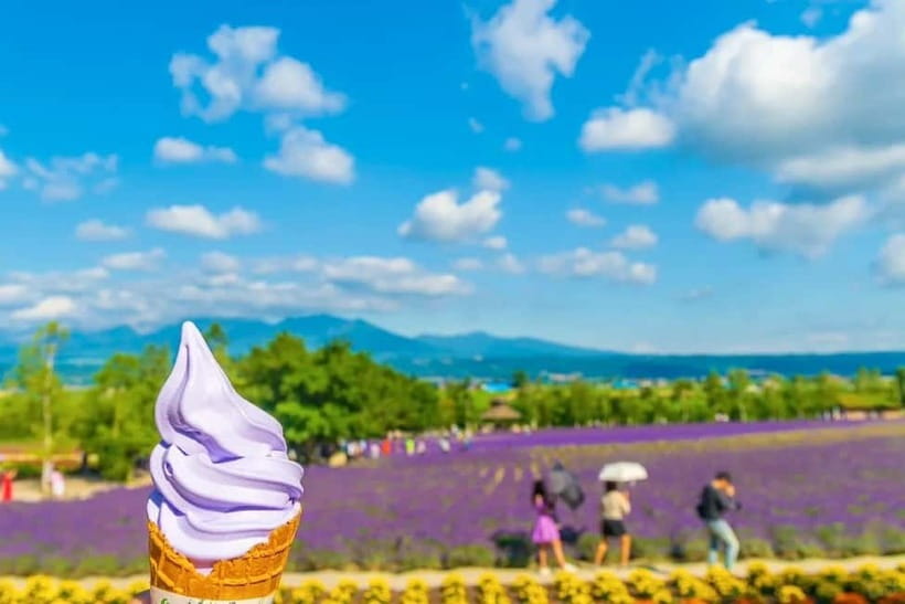 Sapporo: Furano Flower Sea & Biei Blue Pond Tour w/ Pickup - Roller Coaster Road from the window seat