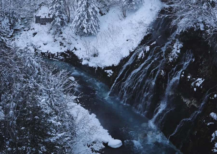 Sapporo: Furano Lavender & Biei Blue Pond Tour with Lunch - Is $94 good value?