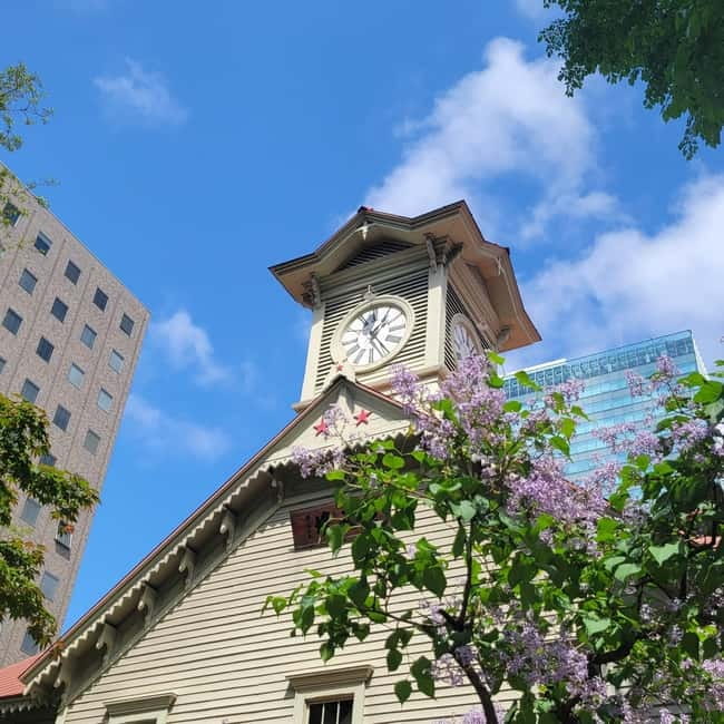 Sapporo Highlights: Golden Route Morning Guided Walking Tour - City Hall and the question of Sapporo’s future