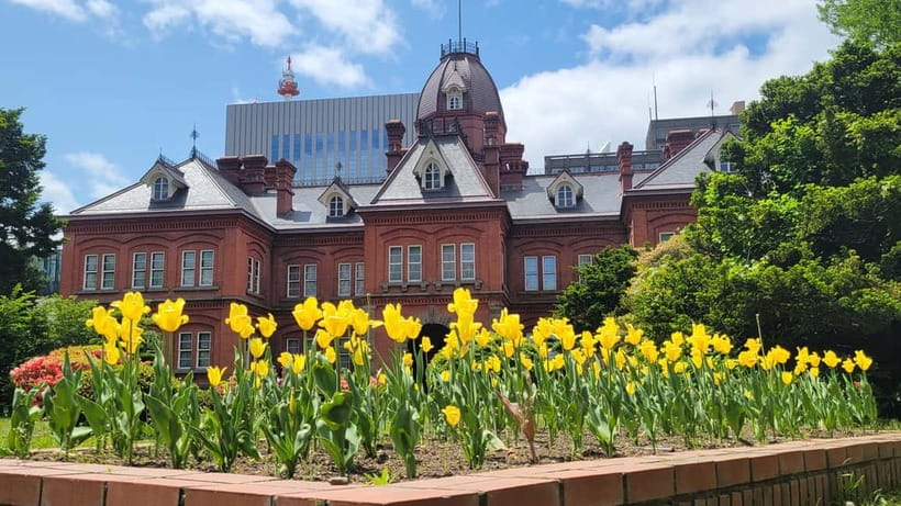 Sapporo Highlights: Golden Route Morning Guided Walking Tour - What the guides add to the walk