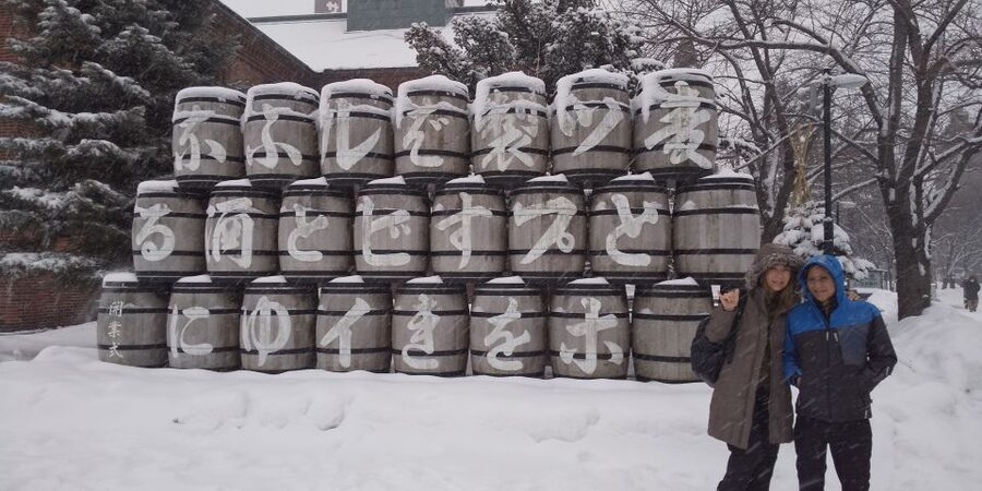 Sapporo: Private Customized Guided Tour - Why a Private Sapporo Tour Makes Sense