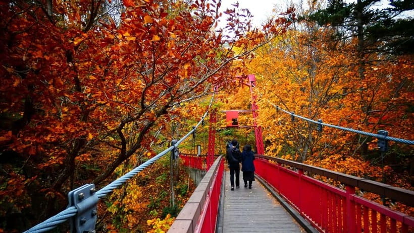 Sapporo: The Indigenous Ainu People & Jozankei walking tour - Why this Sapporo day trip feels different