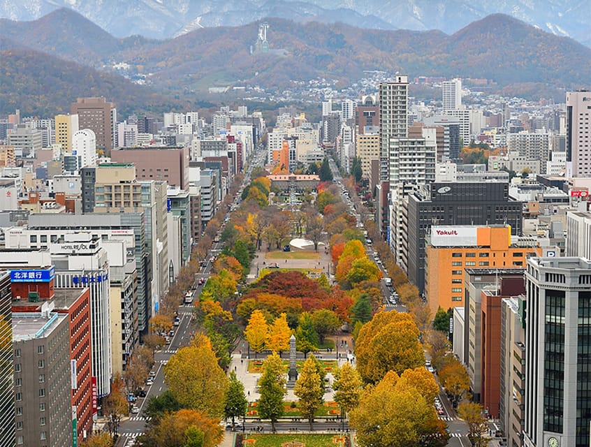 Sapporo TV Tower Admission Ticket - What the $6 price really buys you