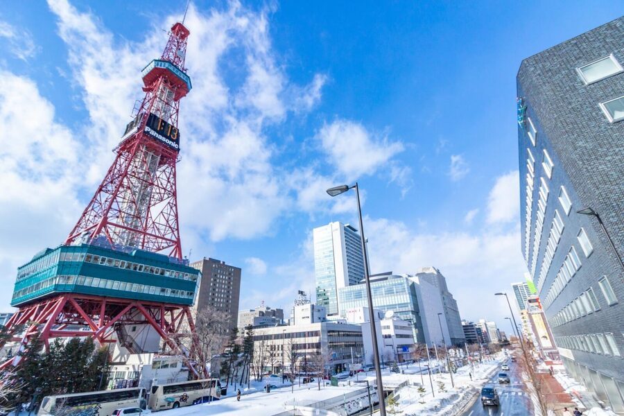 Sapporo Walking Tour - Sapporo TV Tower: the included view