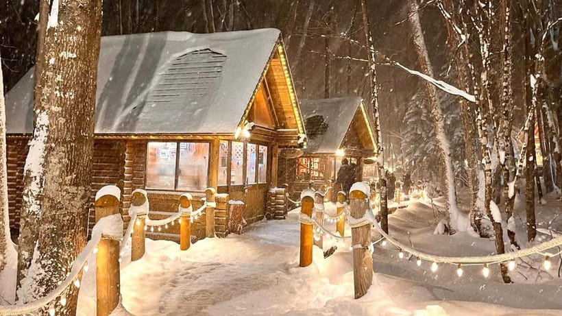Sapporo Winter : Asahiyama Zoo (Penguin Fun & Snowmobile) - What the heated bus adds to the experience