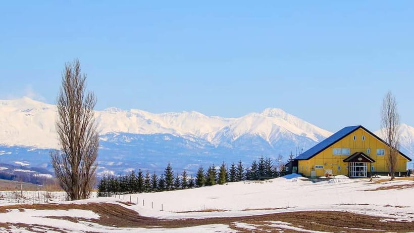 Sapporo Winter : Asahiyama Zoo (Penguin Fun & Snowmobile) - Price, pace, and the real value