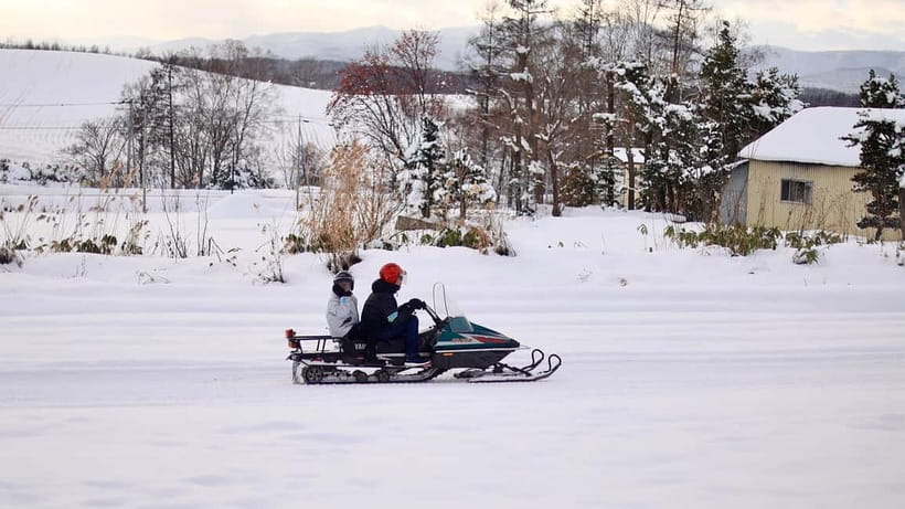 Sapporo Winter : Asahiyama Zoo (Penguin Fun & Snowmobile) - Who should book this Hokkaido winter tour?
