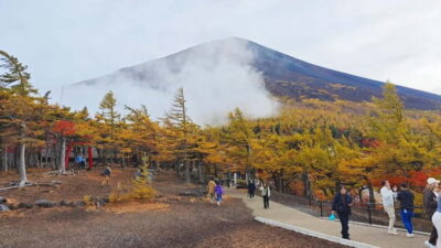 [Seasonal Limited] Mt. Fuji 5th Station &Hot Spring Day Tour