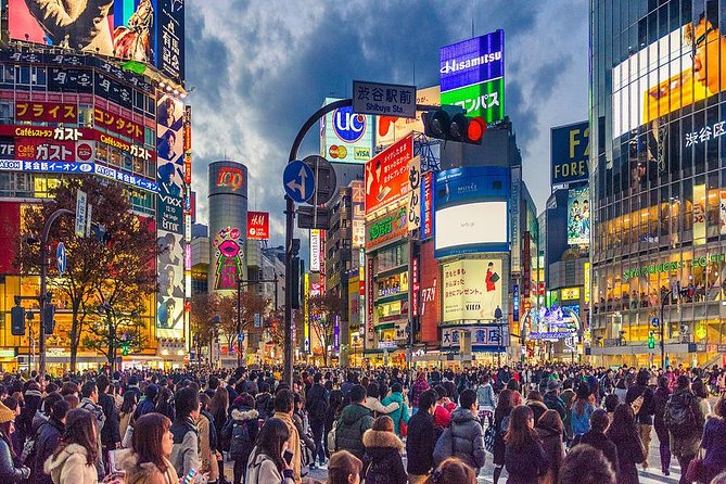 Shibuya All You Can Eat Best Food Tour The Original One in Tokyo - How much value do you get for $205?