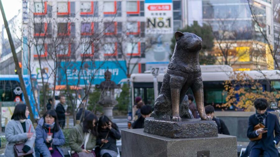 Shibuya: Crossing, Hachiko & Shibuya Sky Guided Tour - Shibuya Parco and the CyberSpace floor